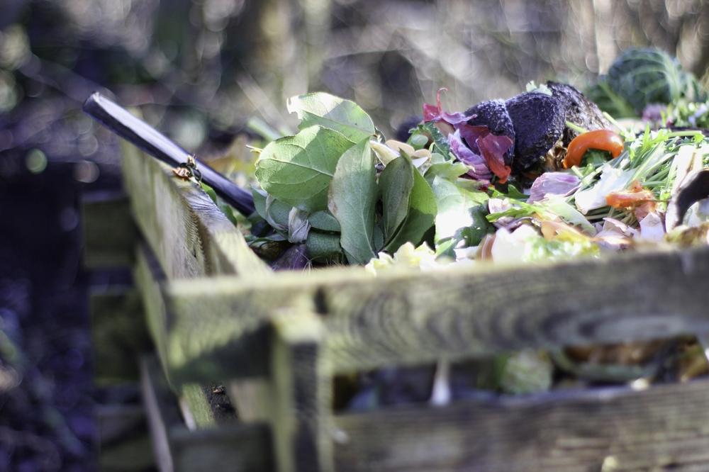 composting garden
