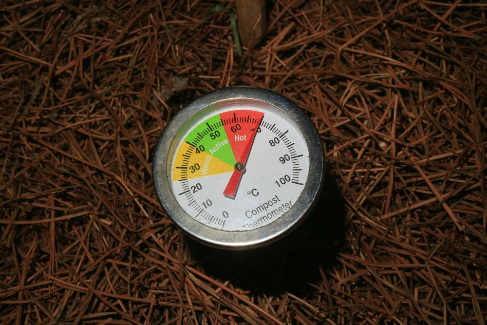 composting garden