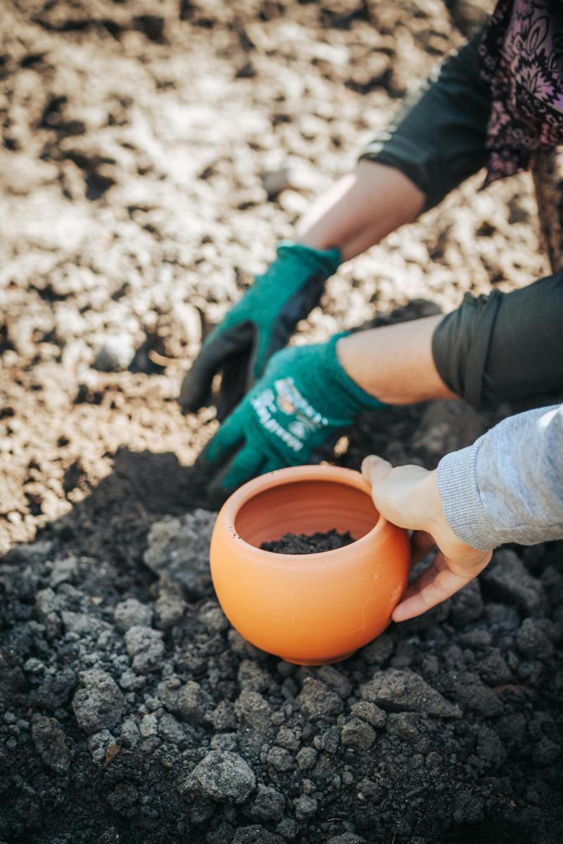 composting garden