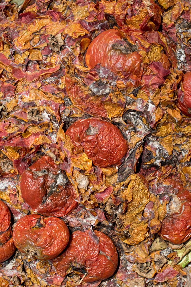 composting waste